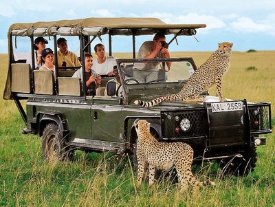 Keňa safari