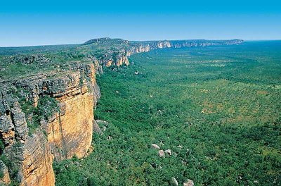 Austrálie a nekonečná zeleň