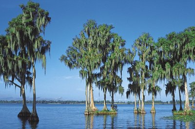 Florida