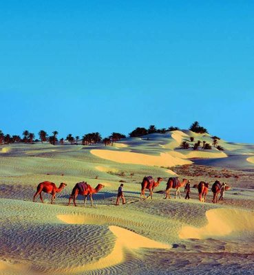 Tunisko a poušť